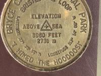 Bristlecone Loop marker