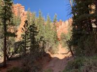 At the bottom near Bryce Creek