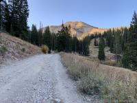 View of Mount Baldy from the Collins service road.