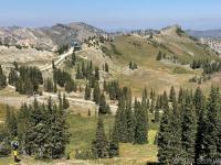 Top of Collins lift, Yellow Trail area, High Notch
