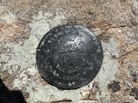 Survey marker