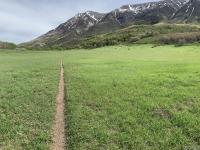 Chris Flat looking northeast to Mount Timpanogos