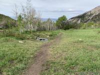 Indian Springs at the top of Grove Creek
