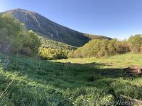 Looking back to Big Baldy and upper Battle Creek canyon. A spring capture structure at the edge of the shadow near center of picture.