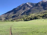 Timponeke-Chris Flat trail no. 151