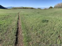 Chris Flat trail 151 looking back to Big Baldy (left) and the aspen stand at the top of Battle Creek drainage.