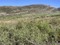 View of Mahogany Mountain. Last year I climbed this side to the ridge, picking a route between the shallow slot and the southern (left) ridge. Would not buy again.