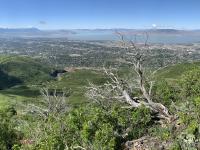 View of Orem and Provo above Dry Canyon