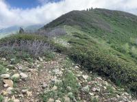 Ridge south of Big Baldy