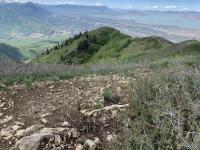 View from Big Baldy summit looking south