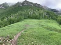 Saddle below Big Baldy and Timpanogos (erosion-control trench center-left)