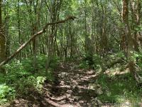 Coming down Dry Canyon