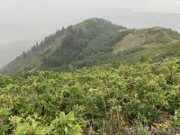 Looking south from the peak.