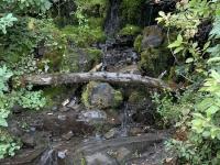 Between mile 1 and mile 2 is a set of switchbacks that cross two streams several times.