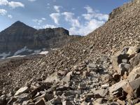 The last push up to Timpanogos Saddle.