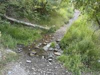 Still have some water across the trail