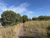 On the ridge looking north toward Mahogany Mountain