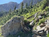 A pile of timber, maybe an old mine