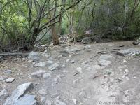 Right after the sign on the left