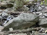 Plenty of water down low