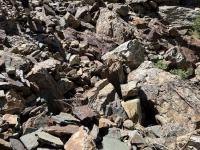 The end of the marked trail