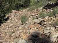 Looking back toward the end of the trail