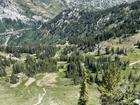 Looking down cirque chute 12 (Upper Cirque) to Peruvian Gulch. Alta's howitzer shed visible on the ridge at top