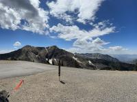 Looking west from the tram platform