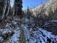 Trail starting to get icy