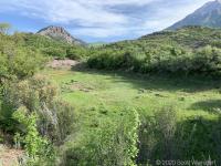 a view of the old reservoir looking north to the cliffs at the southern end of Mahogany Mountain