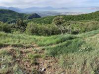 Little Mountain (right) and the limestone cliffs above Battle Creek canyon