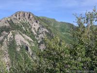 View of the southern end of Mahogany Mountain (north rim of Grove Creek Canyon) from just below Little Mountain