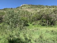 My route was up the center of this image