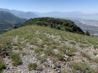 Looking south on Mahogany Mountain ridge