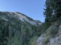 Roberts Horn is somewhere on that highest ridge above the trail
