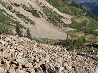 Looking back along the trail. The three-mile mark is somewhere along the lower part of that straight section