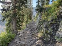 A rocky section of the trail; most of the Timpooneke trail is not too rocky, especially compared with Aspen Grove