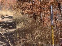 Wilderness area marker