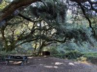 Morning at Glen camp