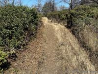 Up the saddle on Baldy Trail before merging with Sky Trail
