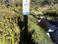 Woodward Fire Recovery photo site