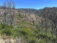 A view up Woodward Valley