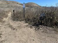 Merging of Woodward Valley Trail and Coast Trail