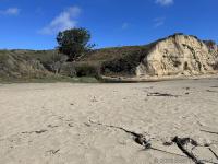The beach at Coast Campground