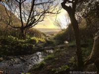 Unnamed creek. Magical.