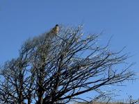 We saw less wildlife on our last day, but some nice close ups