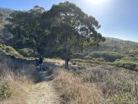 The Coast Trail is mostly dry.