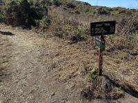 We decided to try the Ocean Lake Loop off of the main trail